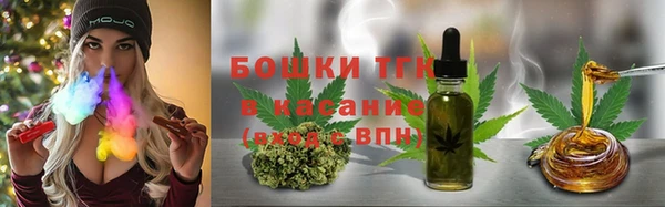 молекула духа Алексеевка