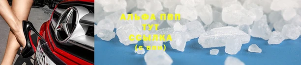 бошки Аркадак