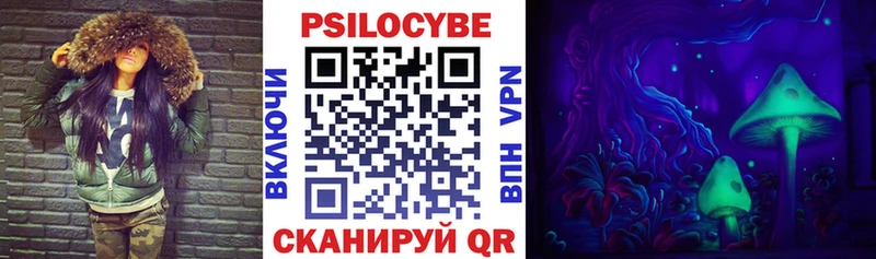 купить  цена  Бабаево  blacksprut онион  Галлюциногенные грибы Magic Shrooms 