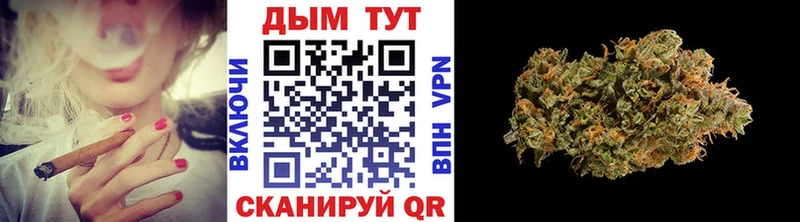 Марихуана план  как найти закладки  KRAKEN вход  Бабаево 